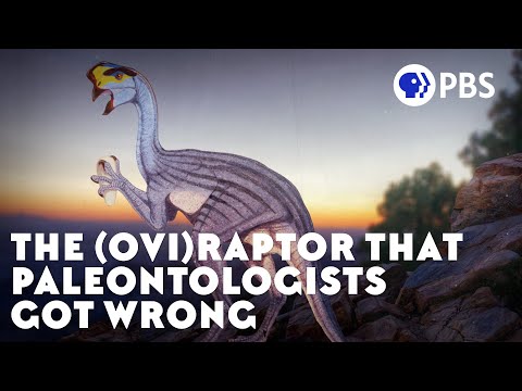 The (Ovi)Raptor That Paleontologists Got Wrong