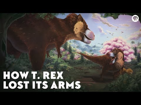 How the T-Rex Lost Its Arms