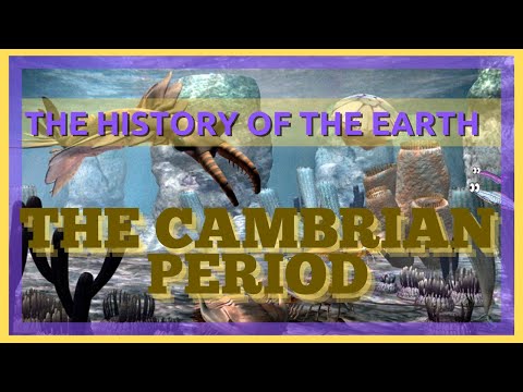 The Complete History of the Earth: Cambrian Period