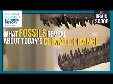 What Fossils Reveal about Today&#039;s Climate Change