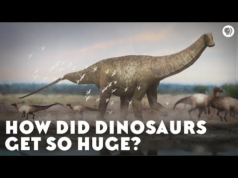 How Did Dinosaurs Get So Huge?