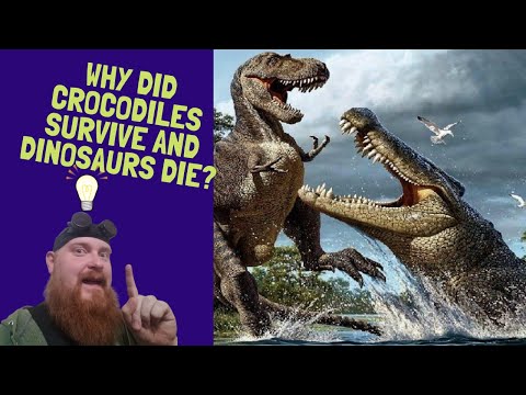 Why did Crocodiles Survive and Dinosaurs Die?