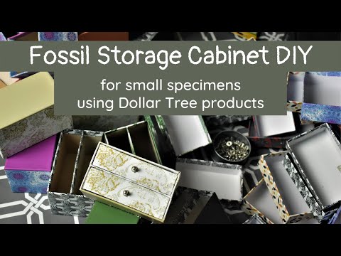 DIY Fossil Storage Cabinet with Mini Drawers From Dollar Tree Items