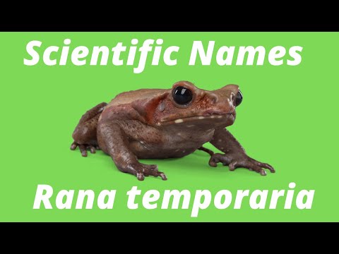 All about Scientific Names