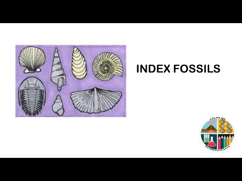 Index Fossils