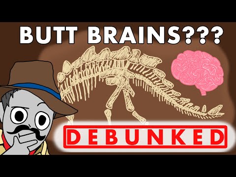 Dino Butt Brain Myth | J Dawg Gets Prehistoric 🦖