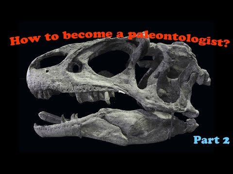 How to become a paleontologist? (part 2)