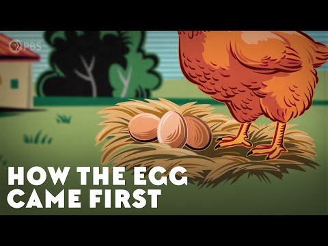 How the Egg Came First