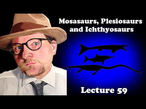 Lecture 59 Mosasaurs, Plesiosaurs and Ichthyosaurs