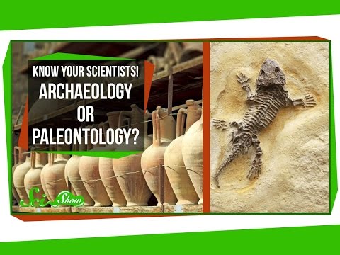 Know Your Scientists! Archaeology or Paleontology?