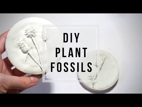 DIY Plant Fossils 🌿 Plaster Flowers | How to Cast Flowers / Plants | Craft Ideas by Fluffy Hedgehog