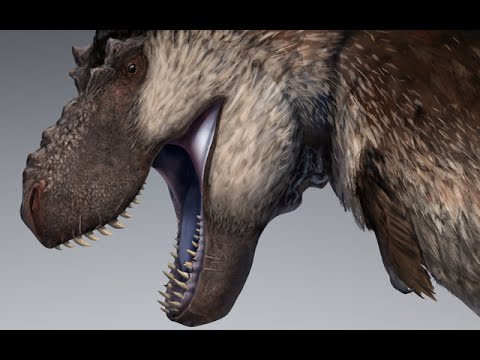 Did T.rex have feathers?