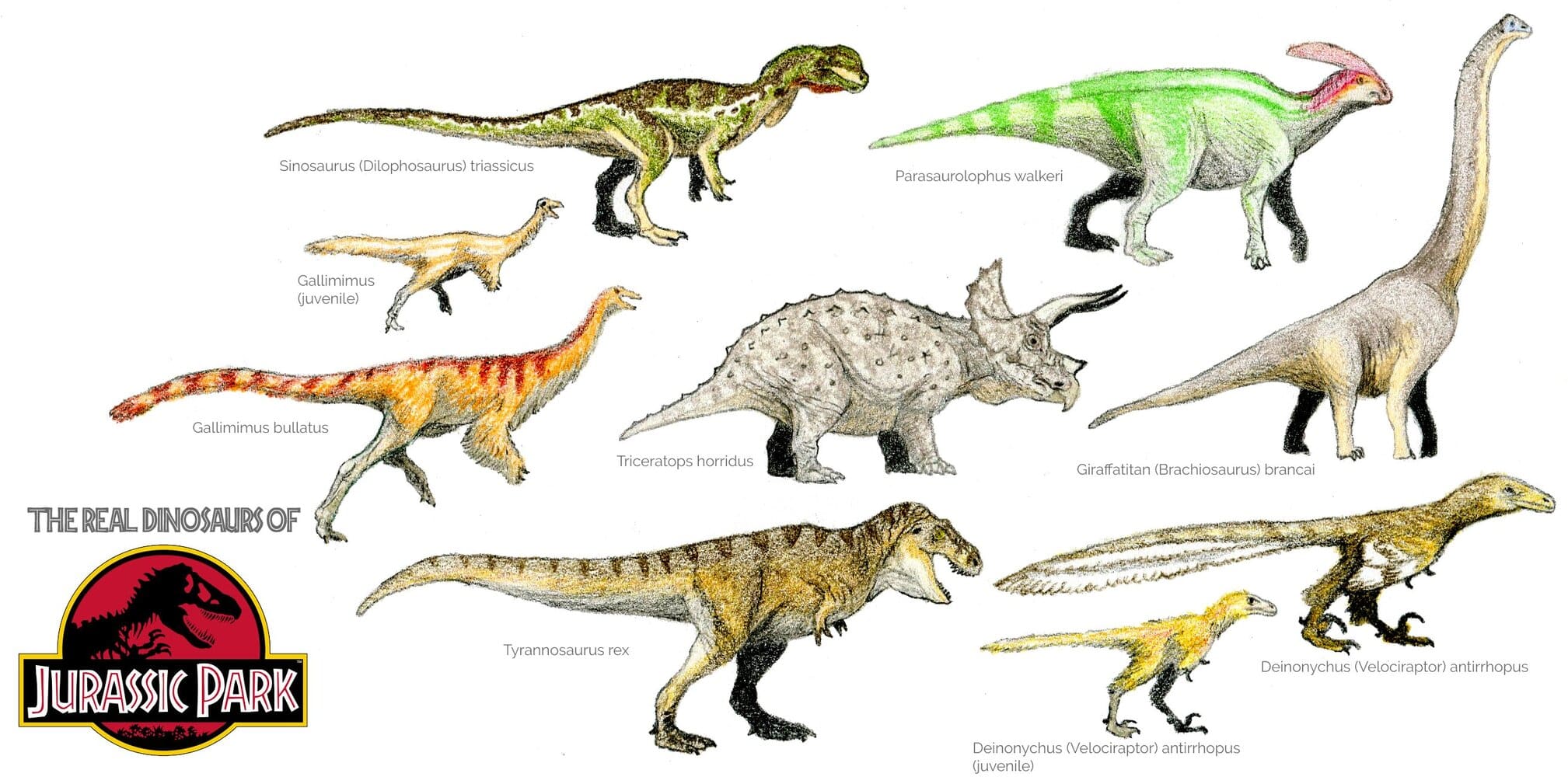 Dinosaurs of Jurassic Park