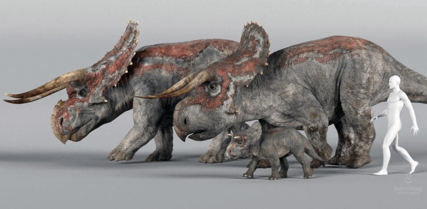 Nasutoceratops family