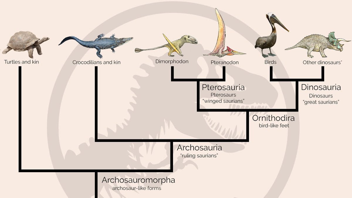 Jurassic Park Phylogeny