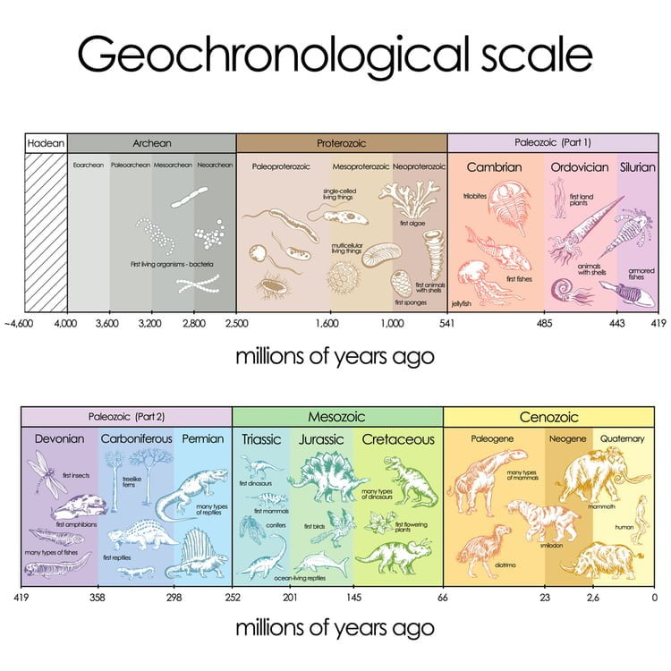 geochronological scale